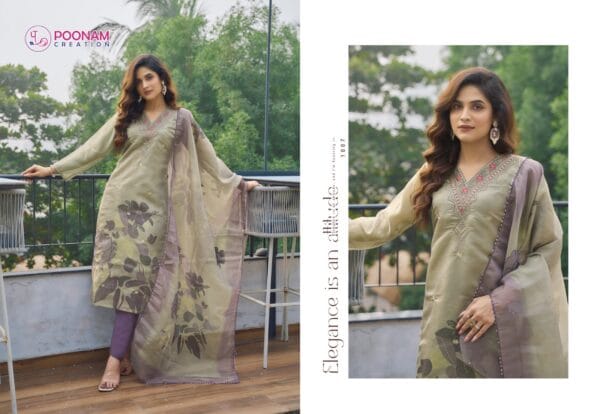 POONAM CREATION PASHMINA VISCOSE TISSUE KURTI 7.jpg