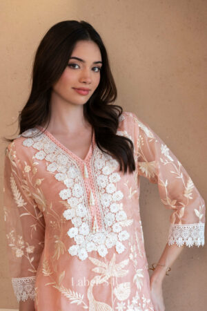 Shivali S4u Peach Petal-Co-Ord Set New Arrival 2025 Rehmat Boutique  573 2.jpg