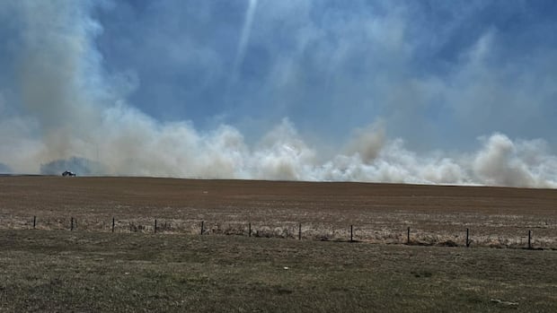 Restrictions in place as wildfire danger on the rise west of Calgary Rehmat Boutique strathcona county wildfire.jpg