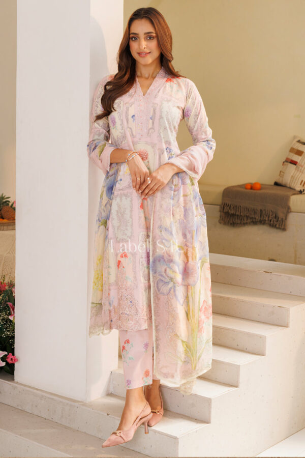 Shivali S4u Pastel Whisper-Suit Set New Arrival 2025 Rehmat Boutique  654.jpg