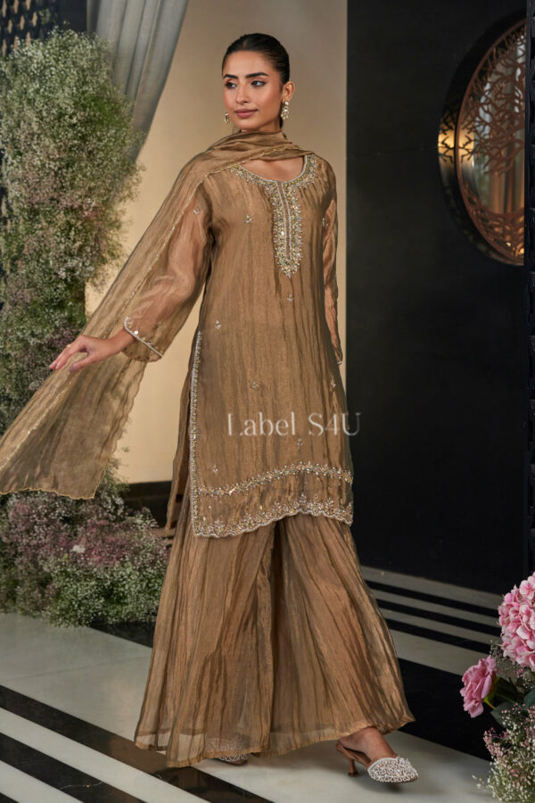 Shivali S4u Grace-Palazzo Set New Arrival 2025 Rehmat Boutique  708 2.jpg