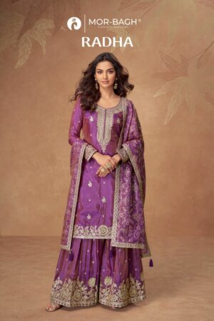 AASHIRWAD MOR BAGH RADHA Rehmat Boutique  AASHIRWAD MOR BAGH RADHA WHOLESALE 6.jpg