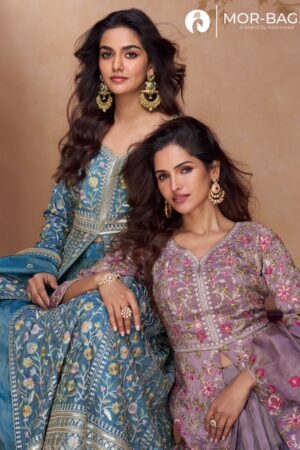 AASHIRWAD MOR BAGH PRACHI WHOLESALE PRICE 5.jpg