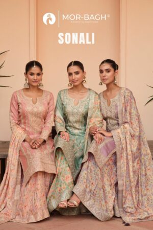 AASHIRWAD MOR BBAGH SONALI WHOLESALE 4.jpg