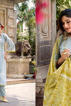 BELLIZA NAIRA VOL 118 WHOLESALE 3.jpg
