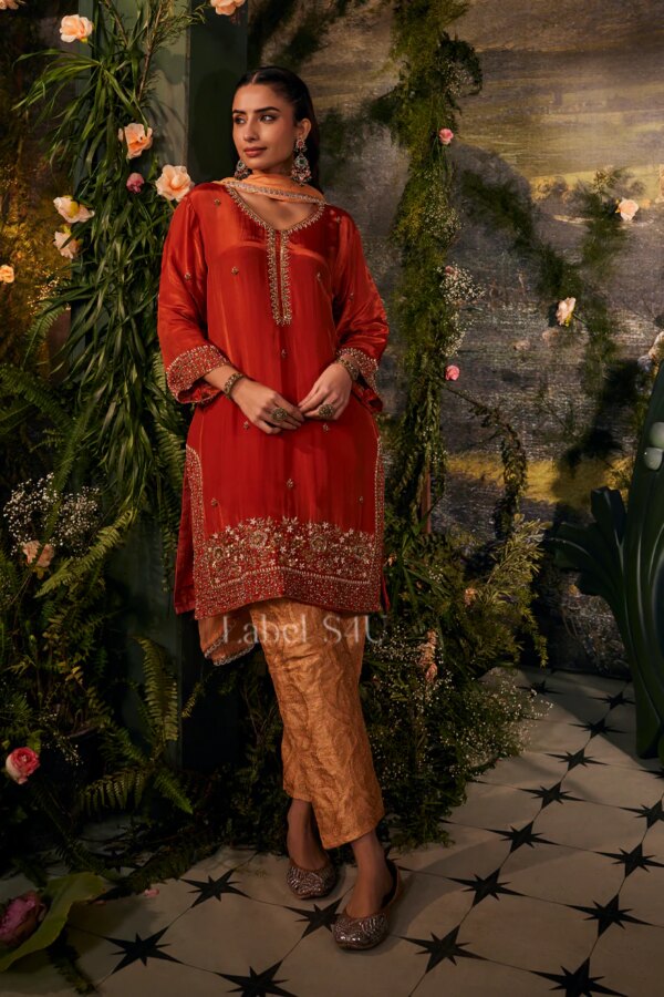 Shivali S4u Classic Rust- Suit Set With Banarasi Pant New Arrival 2025 Rehmat Boutique Classic Rust- Suit Set With Banarasi Pant 35 1 bf3f19d6 6995 4362 834b bfe7503ed529.jpg
