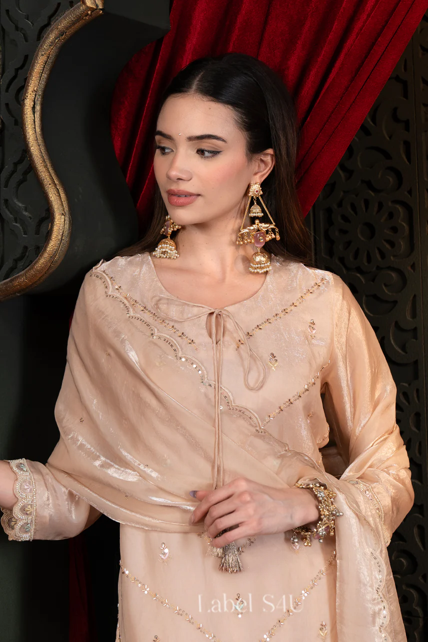 Shivali S4u Blush Peach Tissue-Palazzo Set New Arrival 2025 Rehmat Boutique Blush Peach Tissue-Palazzo Set 46 1 6f6cfac8 2bca 48bc 9d86 843027d4954b.jpg