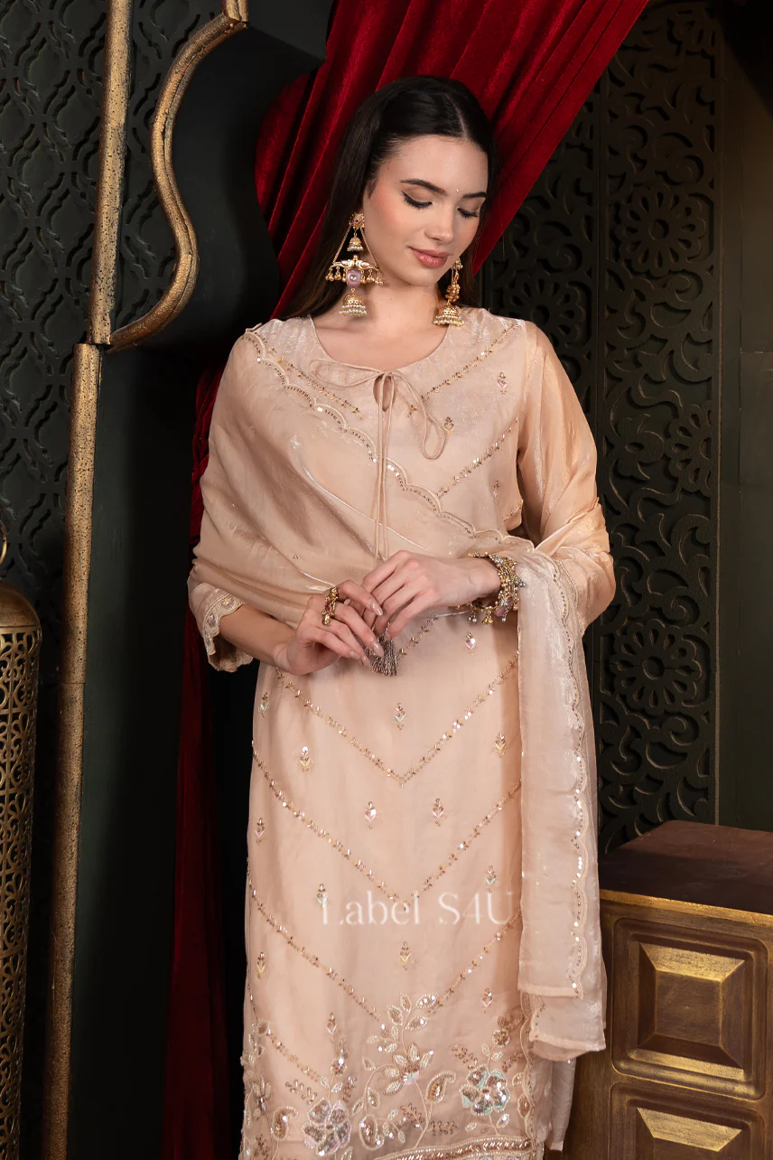 Shivali S4u Blush Peach Tissue-Palazzo Set New Arrival 2025 Rehmat Boutique Blush Peach Tissue-Palazzo Set 46 2 9c71adae 0b2f 466e 883b 6f169c254fa2.jpg