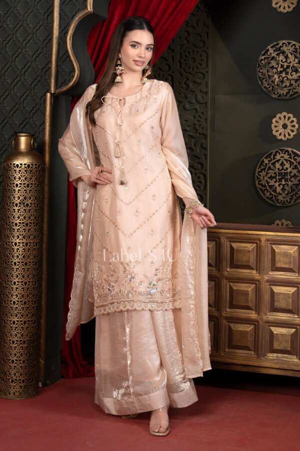 Shivali S4u Blush Peach Tissue-Palazzo Set New Arrival 2025 Rehmat Boutique Blush Peach Tissue-Palazzo Set 46 af294a7e d63e 49b2 b083 a76539cdc42e.jpg