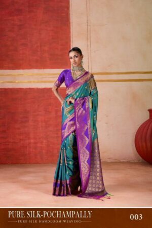 rajtex pochampally catalog buy sarees in bulk online 0 2026 01 24 17 50 41.jpeg
